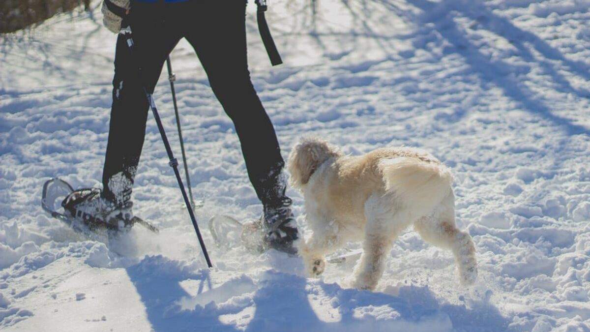 Як тренуватися на вулиці взимку Як тренуватися на вулиці взимку