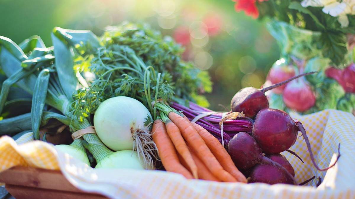 Що їсти, щоб зігрітися: дієтологиня назвала корисні продукти Що їсти, щоб зігрітися: дієтологиня назвала корисні продукти
